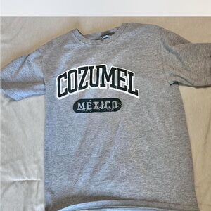 Gray Cozumel Graphic Sweater